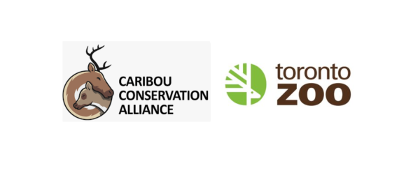 Image shows two logos - the logo of the Caribou Conservation Alliance and of the Toronto Zoo