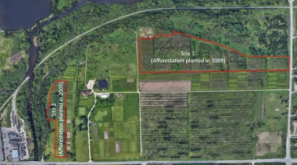 Map overview of study site