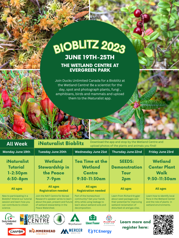 BioBlitz 2023