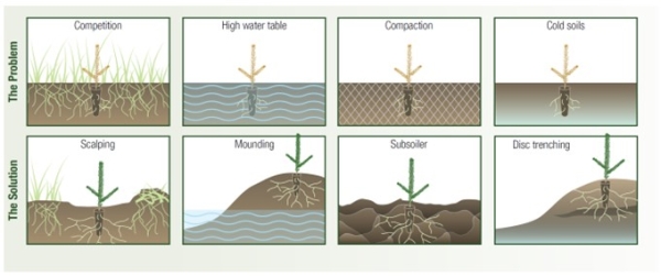 silvicultural methods