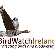 Bird Watch Ireland