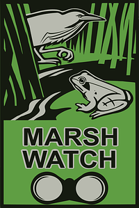 Marsh Watch
