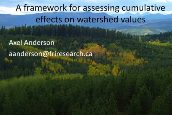 Anderson cumulative watershed