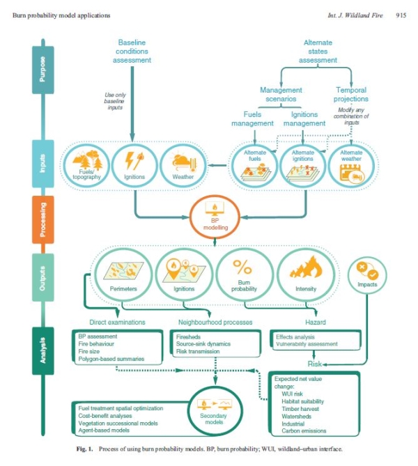 Visual depicting process of using burn probability models. BP, burn probability; WUI, wildland–urban interface