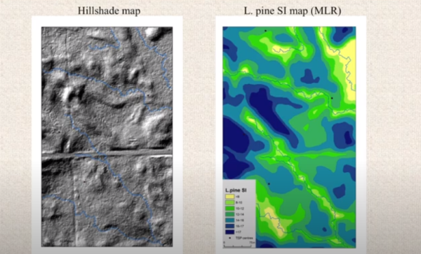 Bjelanovic predicting productiv