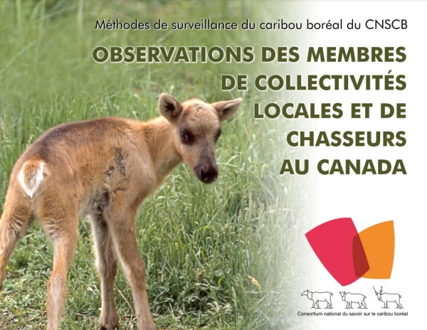 capture de page couverture