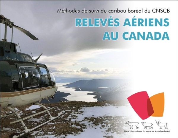 capture de page couverture