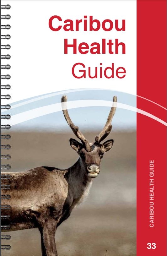 Screenshot of cover image