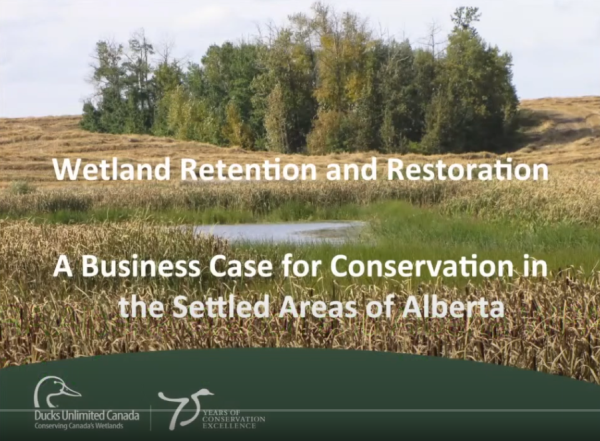 Pattison wetland retention
