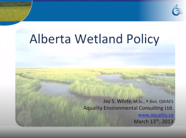 White wetland policy