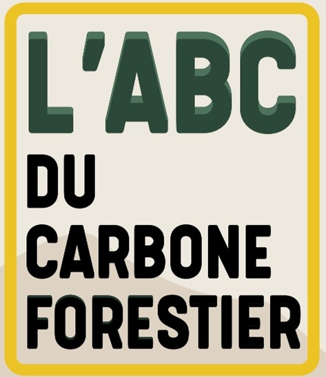 Forest carbon