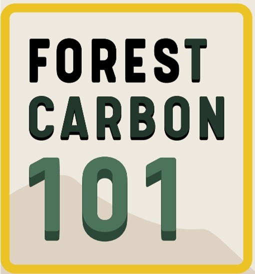 Forest Carbon