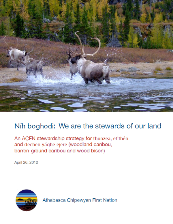 Cover page of report