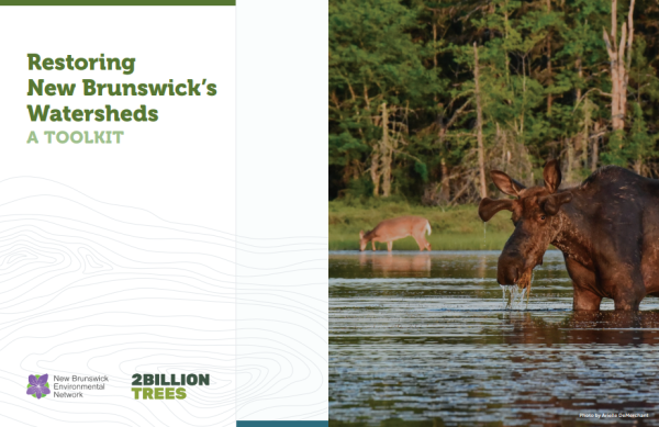 Cover page of report