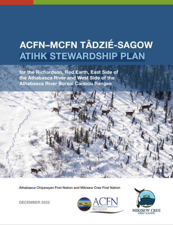 Cover page of report