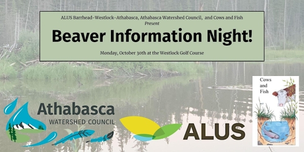 Beaver Information night