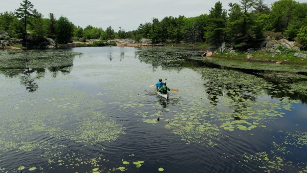 Paving over Paradise