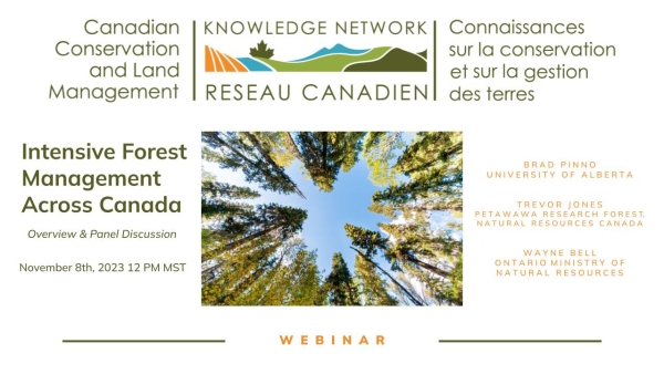 Intensive Forest Management