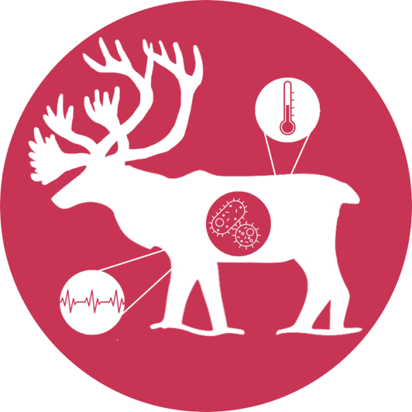Caribou Health Monitoring Icon