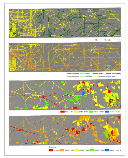 Vegetation recovery on seismic lines