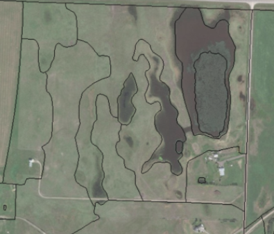 SALMTEC Wetland Delineation Seminar