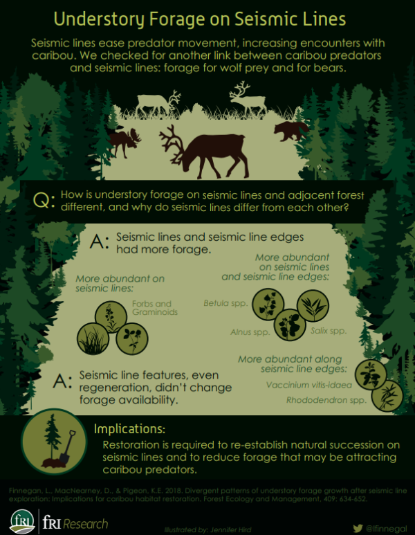Understory forage infographic