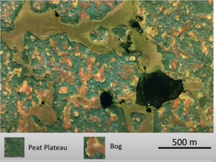 Peatland complex