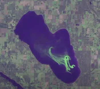 Pigeon Lake algal bloom