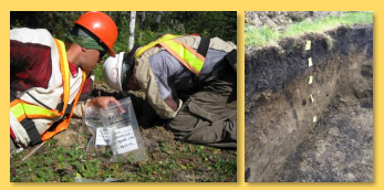 Paragon Soil Classification Course