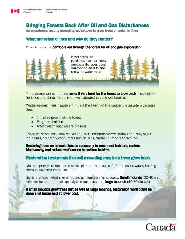 Image of the first page of fact sheet titled bringing forests back after oil and gas disturbances