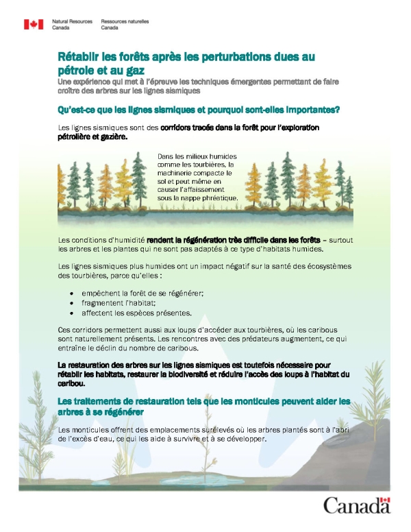 Image of the first page of fact sheet titled bringing forests back after oil and gas disturbances