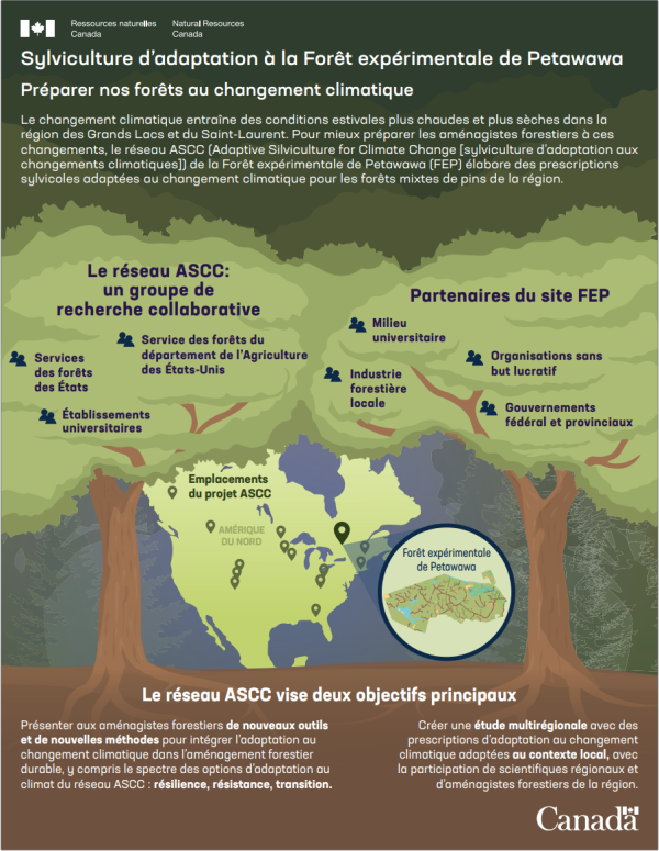 Image of the first page of the knowledge product descripting the adaptive silviculture network.