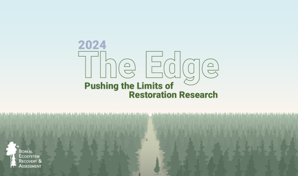 The Edge: the BERA Program 2024 synthesis report