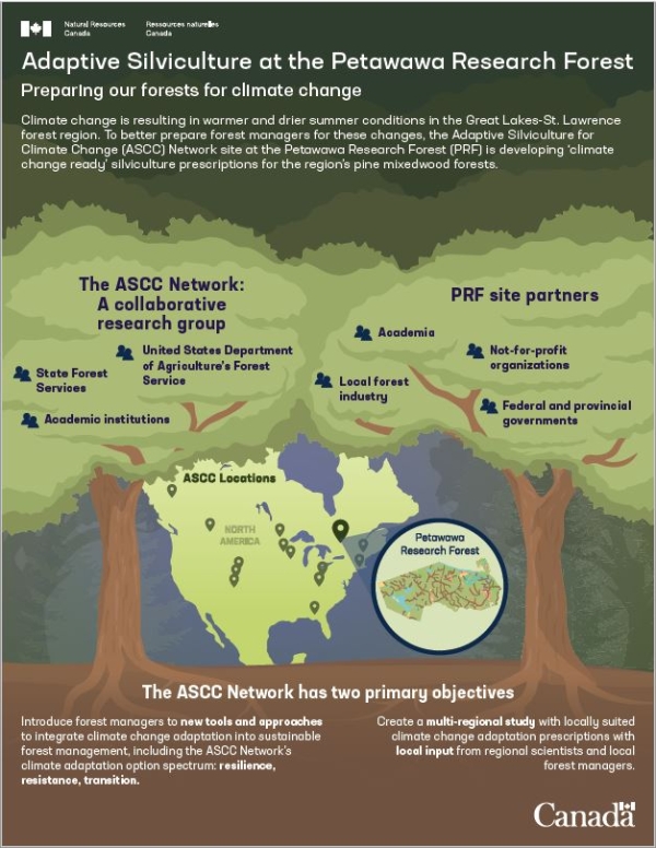 Image of the first page of the knowledge product descripting the adaptive silviculture network.