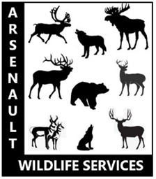 Canadian megafauna silhouetted with Arsenault Wildlife Services text