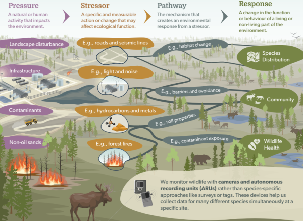 Oil sands monitoring