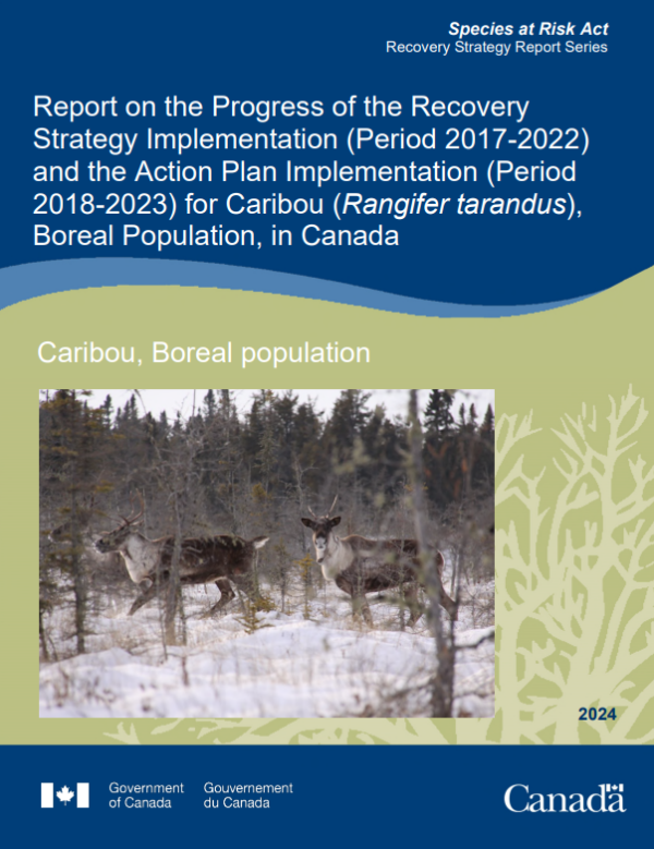 Cover page of report