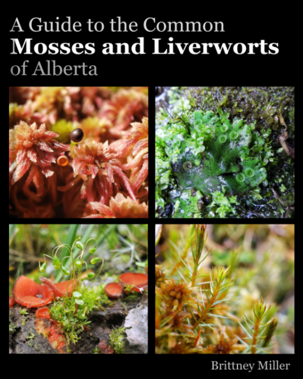 Book cover, &quot;A Guide to the Common Mosses and Liverworts of Alberta&quot;