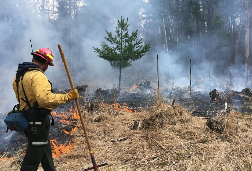 SER Prescribed Fire webinar