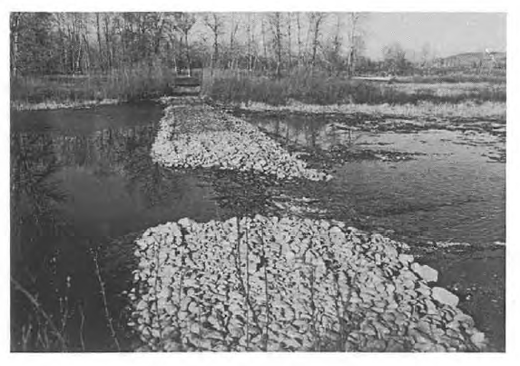 Bow River Back Channel Drop Structure