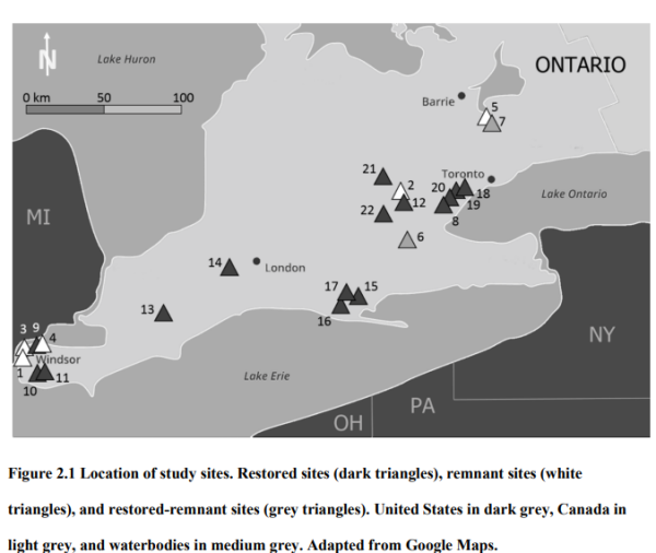 Cray thesis study sites