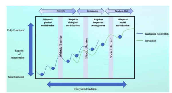 Restoration vs. rewilding