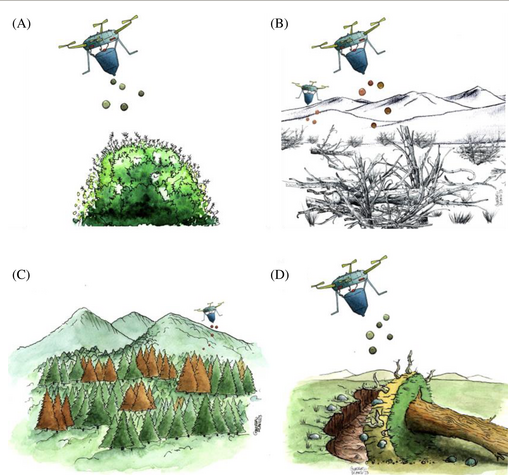 Drone seeding examples