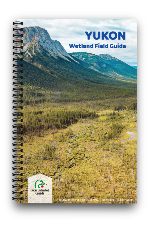 Yukon Wetland Field Guide Cover