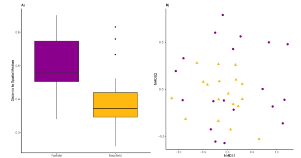 Diversity of benthic invertebrates