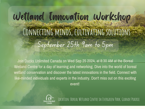 Wetland innovation workshop banner