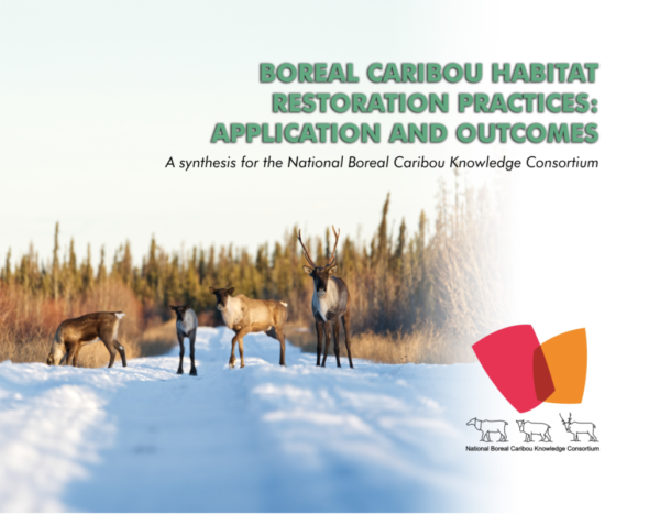 Boreal Caribou Habitat Restoration Practices Report Cover