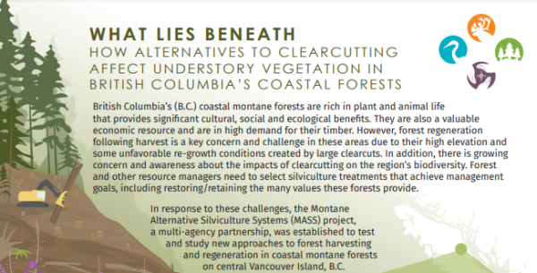 Silviculture Systems Image