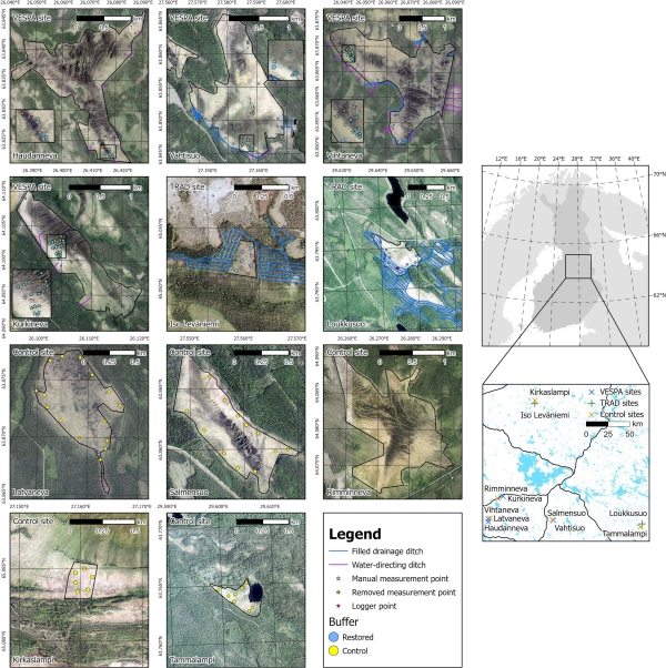 Multi-sensor satellite imagery reveals spatiotemporal changes in peatland water table after restoration