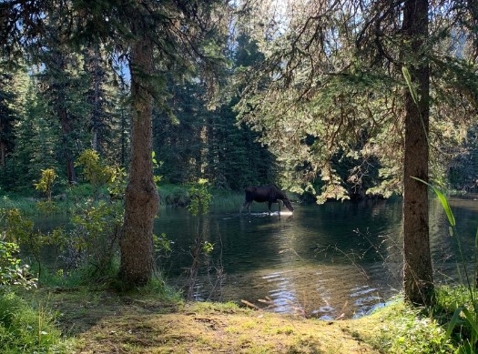 Groundwater-dependent wetlands